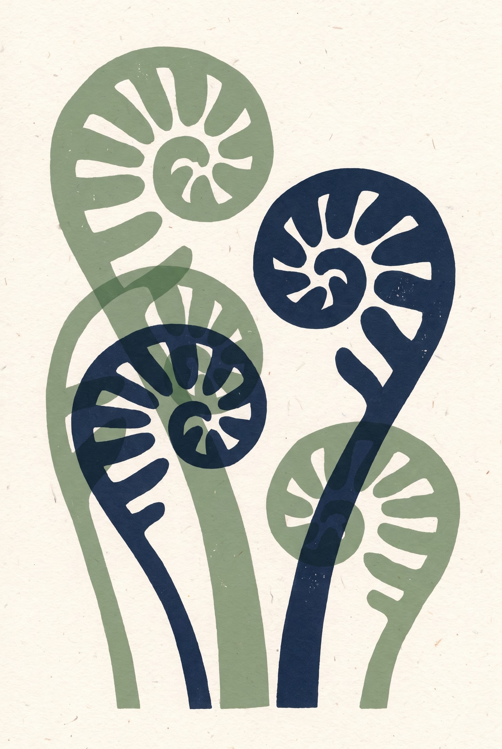 Cover art for The Fern Atlas
